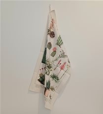 vintage tea towel - succulents - cavallini & co