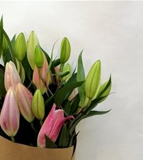 pink oriental lilies