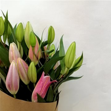 pink oriental lilies