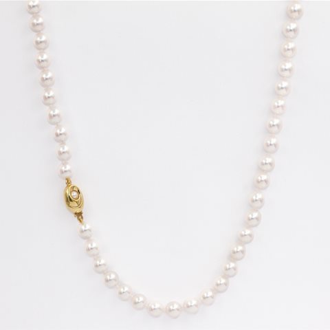 Cultured pearls 6.5