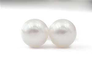 Pearl studs 7-7.5mm