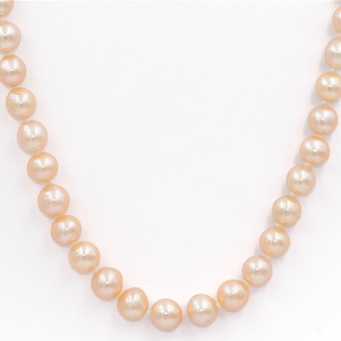 Apricot pearls